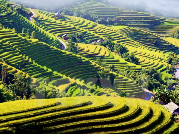 Hợp lực quảng bá, xúc tiến, liên kết phát triển du lịch vùng Tây Bắc